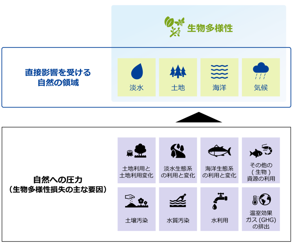 SBTs for Nature（ネイチャーSBTs）における、直接影響を受ける自然の4領域（淡水・土地・海洋・気候）と、生物多様性損失の主な要因となる自然への8つの圧力（土地利用変化・水質汚染等）の構造・因果関係図