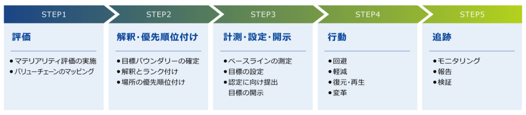 SBTs for Nature（ネイチャーSBTs）の設定における、STEP1（評価）、STEP2（解釈・優先順位付け）、STEP3（計測・設定・開示）、STEP4（行動）、STEP5（追跡）にいたる全5ステップのプロセスフロー・工程図