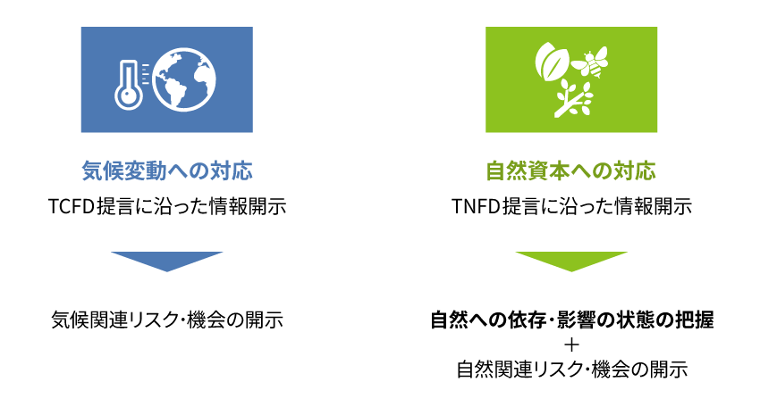 気候変動対応(TCFD提言に沿った情報開示)と、自然資本対応(TNFD提言に沿った情報開示)の違いを示した比較図。TNFDではリスク・機会の開示に加え、自然への依存・影響の状態の把握が求められることを示した構造図
