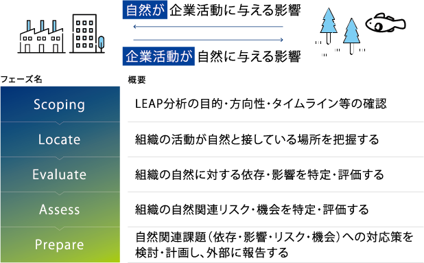 TNFDが提唱する自然関連課題の評価フレームワーク「LEAPアプローチ」の全体像。Scoping(対象範囲設定)からLocate, Evaluate, Assess, Prepareの5段階と、ビジネスと自然の相互依存・影響関係(ダブル・マテリアリティ)を示した構造図