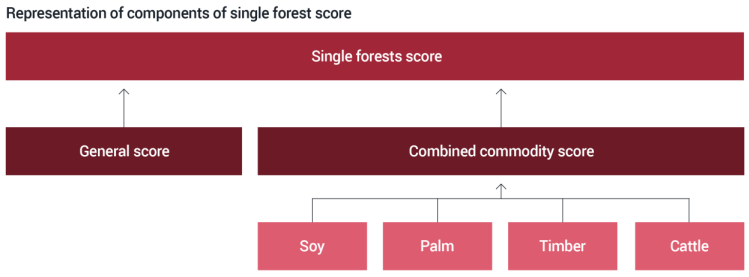 CDP2025におけるフォレストスコアの算定構造（General scoreと、大豆・パーム油・木材・牛肉のCombined commodity scoreから単一のForests scoreが構成される仕組み）を示した概念図