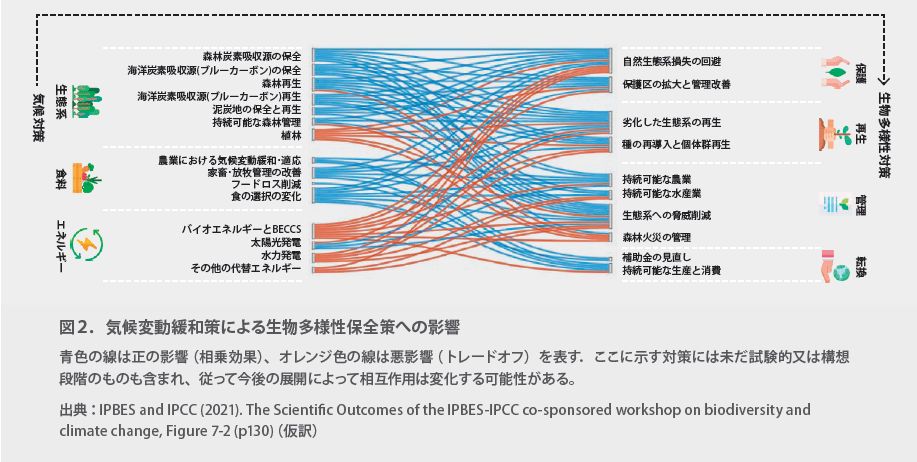 IPBESおよびIPCC合同報告書に基づく、気候変動緩和策（生態系・食料・エネルギー）が生物多様性保全策へ与える正の影響（相乗効果）と悪影響（トレードオフ）の相互作用を示した図