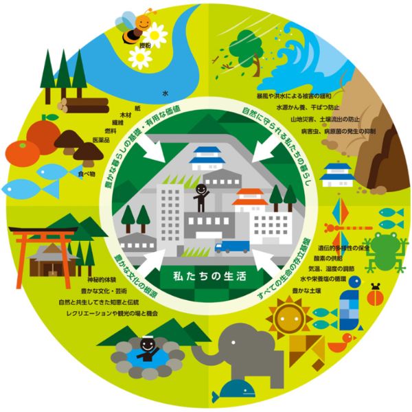 環境省資料に基づく、人間の生活を中心に取り巻く自然の恵み（供給・調整・文化・基盤の4つの生態系サービス）の分類と相互関係を示した円形構成図