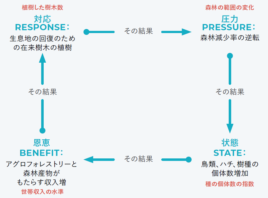 長期的な目標を達成するために必要な複数レベルの戦略、アウトプット、成果、影響の間の論理的な因果関係を記述したもの