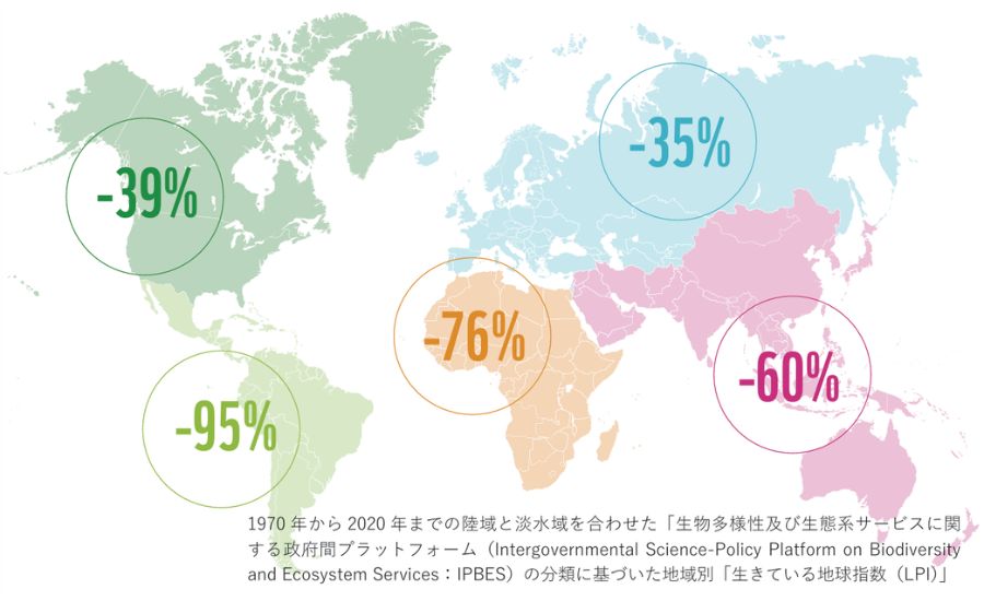 IPBES分類に基づく、1970年から2020年までの世界各地域（ラテンアメリカ、アフリカ、アジア太平洋等）における生きている地球指数（LPI）の減少率を示した世界地図グラフ