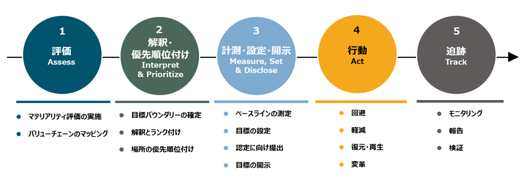 SBTN(Science Based Targets Network)におけるネイチャーSBTs策定・実行の5つのステップ(評価、解釈・優先順位付け、計測・設定・開示、行動、追跡)を示したプロセス図