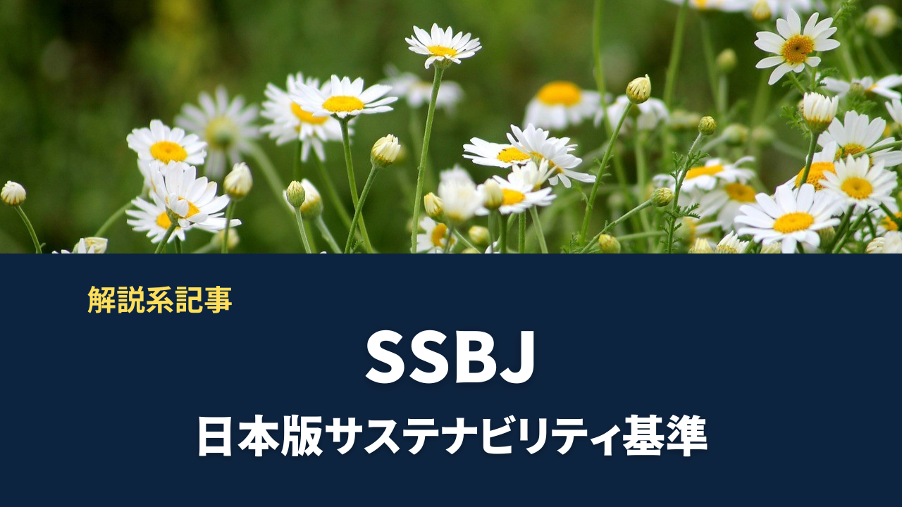 SSBJとは？ 日本版サステナビリティ基準入門