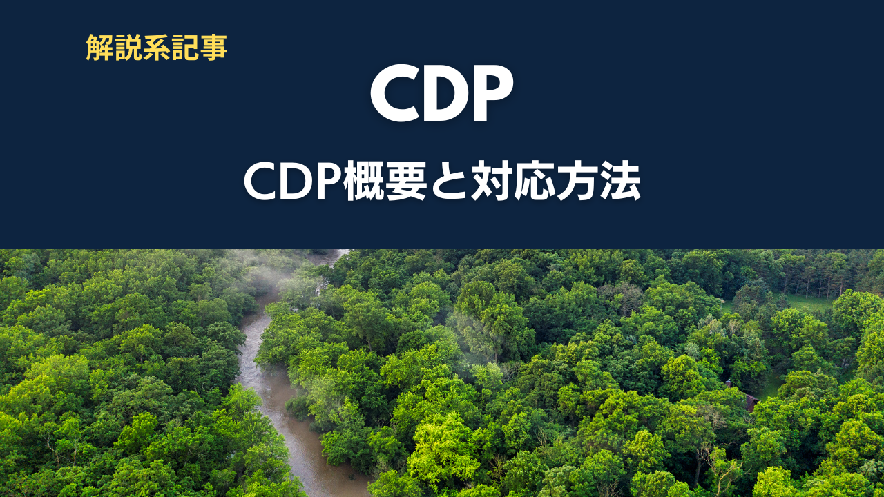 CDP概要と対応方法