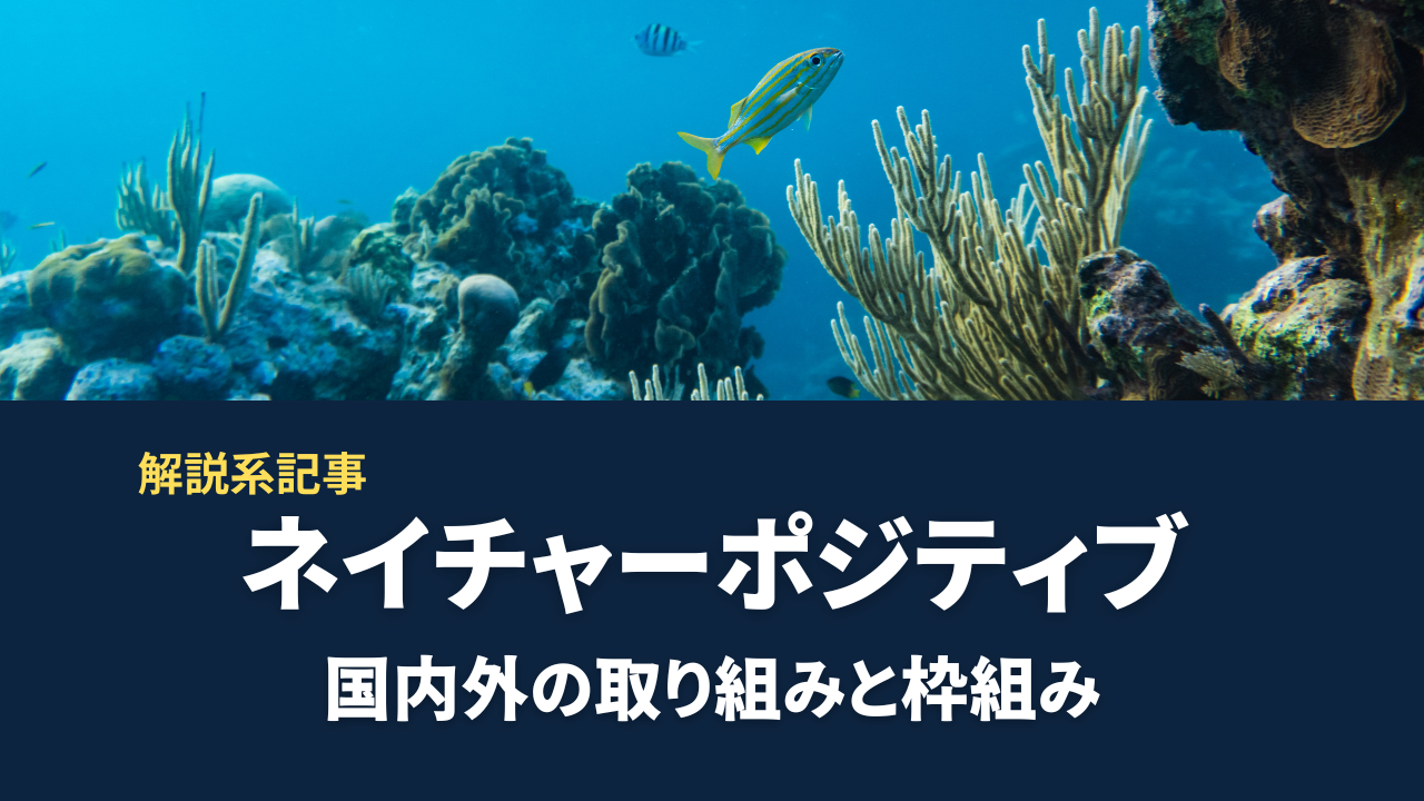 ネイチャーポジティブの基本知識｜国内外の取り組みと枠組み