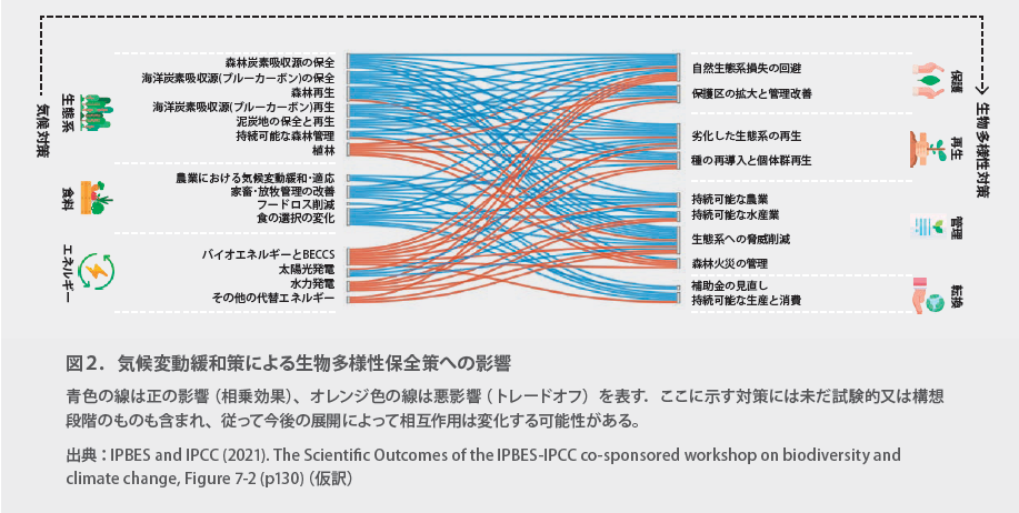 気候変動緩和策による生物多様性保全策への影響