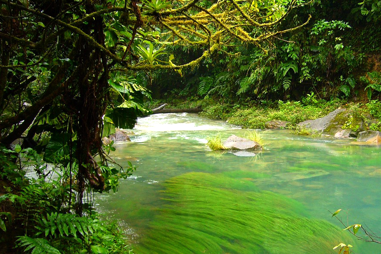 ブライトイノベーションのウェビナー