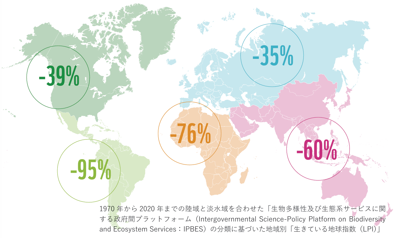 地域別のLPIの減少傾向