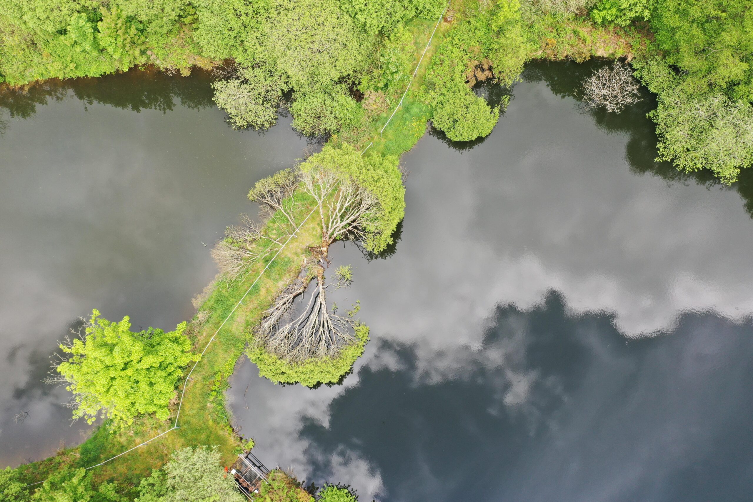 CDPモジュール11「生物多様性」設問を読み解く