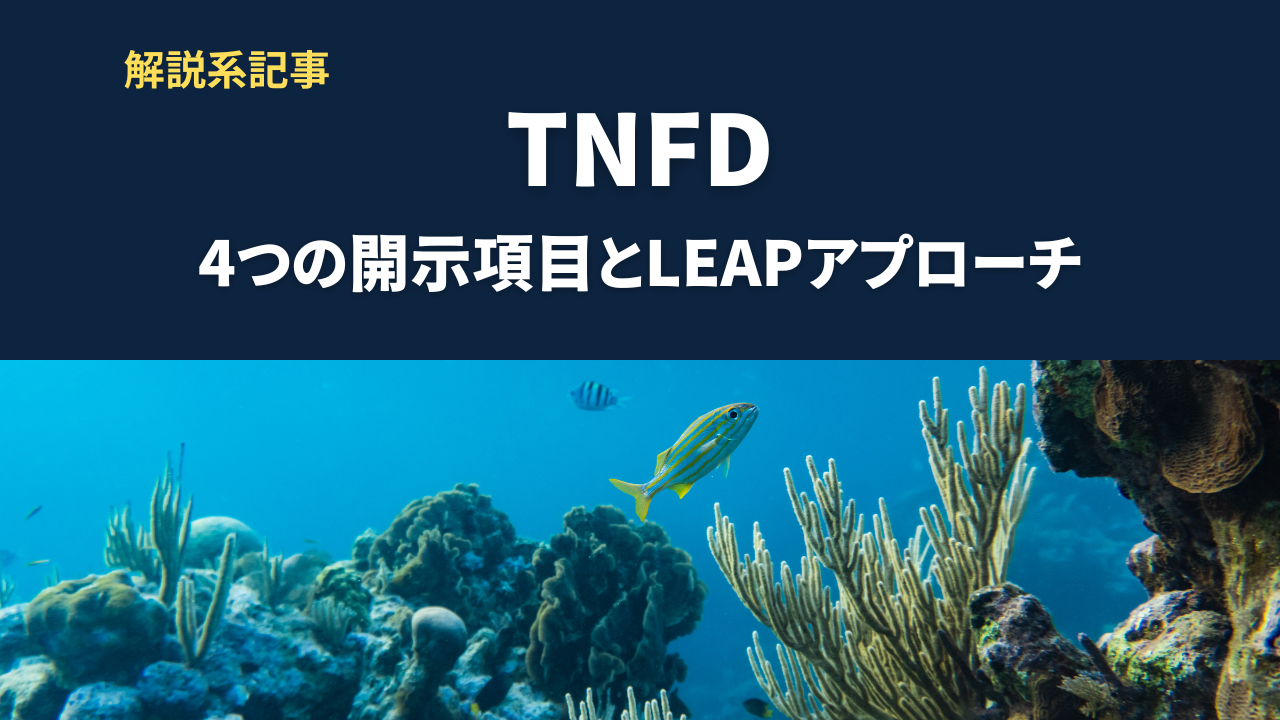 TNFDとは？4つの開示項目とLEAPアプローチ