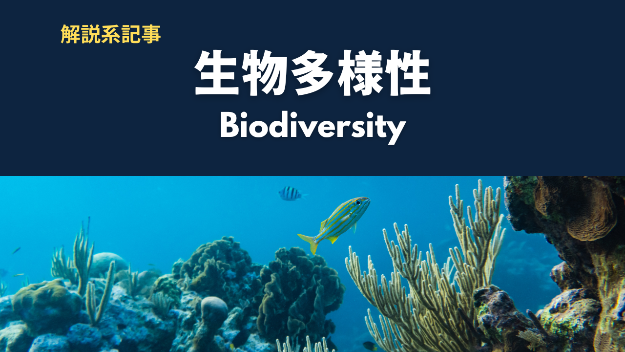 生物多様性とは