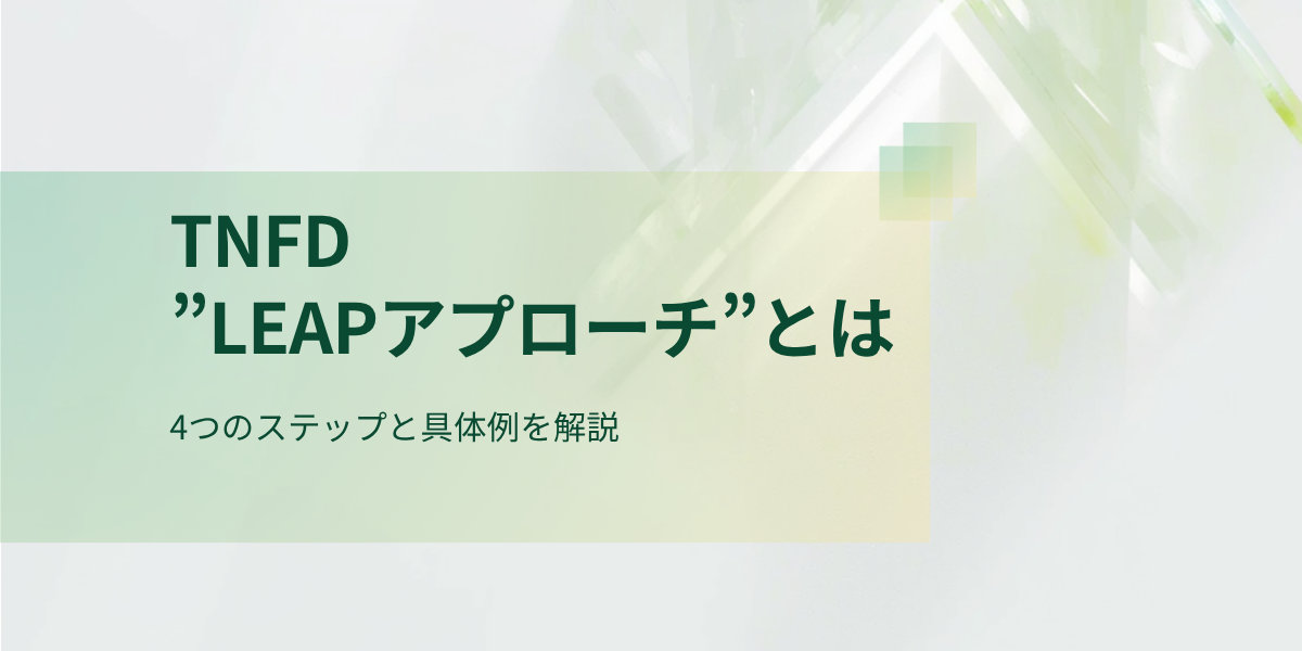 TNFD「LEAPアプローチ」とは？4つのステップと具体例を解説